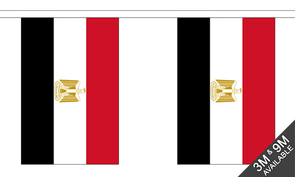 Egypt Bunting